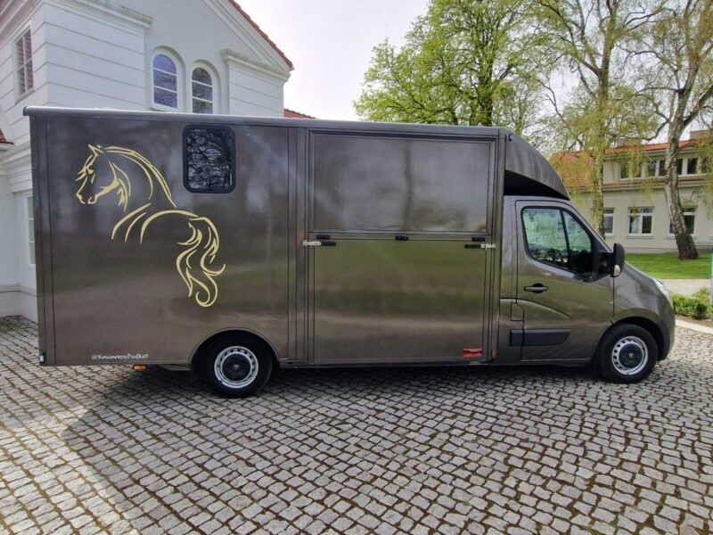 Opel Movano Koniowóz, Max LONG, 3 Miejsca,Klimatyzacja,Kam>Cof.Kam.Na Stanowiska