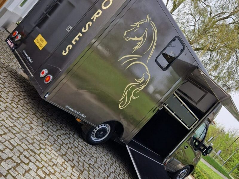 Opel Movano Koniowóz, Max LONG, 3 Miejsca,Klimatyzacja,Kam>Cof.Kam.Na Stanowiska