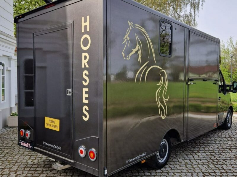 Opel Movano Koniowóz, Max LONG, 3 Miejsca,Klimatyzacja,Kam>Cof.Kam.Na Stanowiska