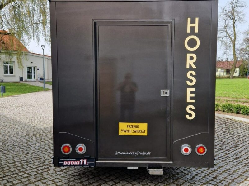 Opel Movano Koniowóz, Max LONG, 3 Miejsca,Klimatyzacja,Kam>Cof.Kam.Na Stanowiska