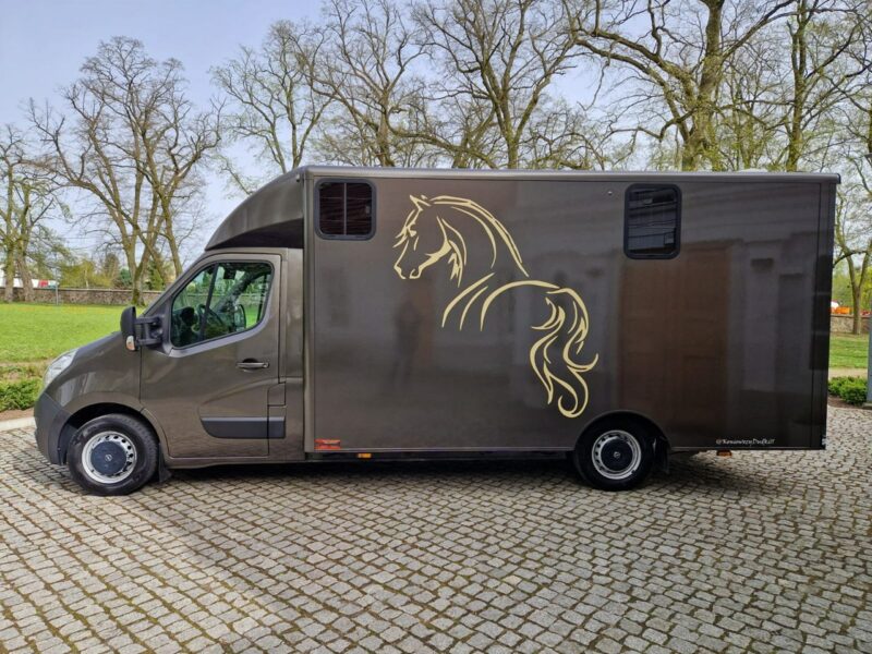 Opel Movano Koniowóz, Max LONG, 3 Miejsca,Klimatyzacja,Kam>Cof.Kam.Na Stanowiska