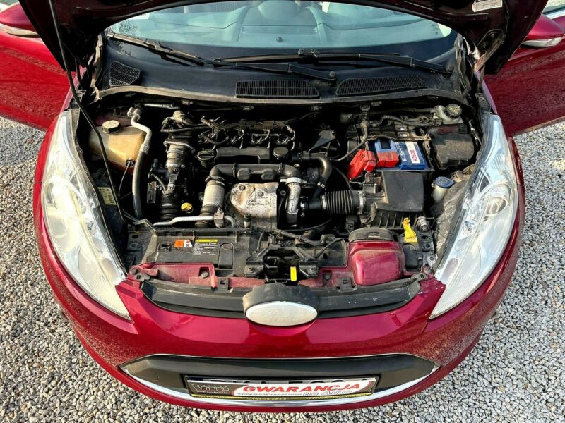 Ford Fiesta 1,6 TDCI 75 KM,Piękny kolor,Chrom pakiet,Wyposażenie,GWARANCJA,Zamiana Mk7 (2008-)