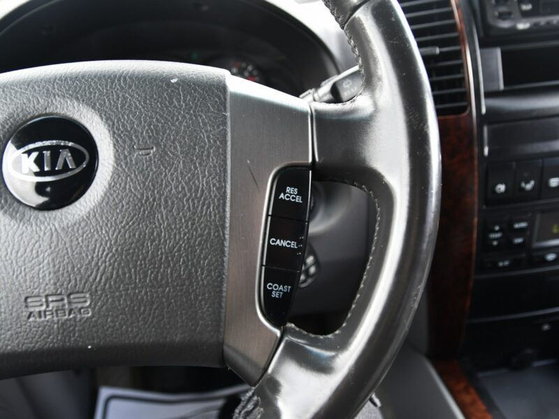 Kia Sorento 2,4b DUDKI11 4X4,Hak,Tempomat,Klimatronic,kredyt.OKAZJA I (2002-2009)