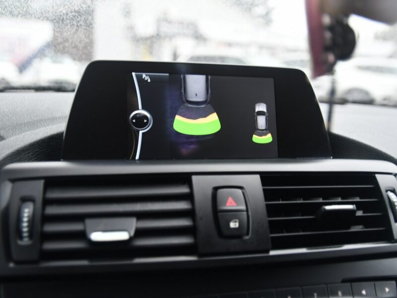 BMW 116 1,6D DUDKI11 Navi,Skóry,Klimatr.Parktronic.kredyt. GWARANCJA F20 (2011-)