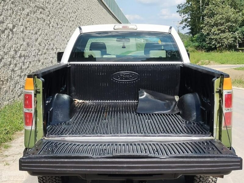Ford inny