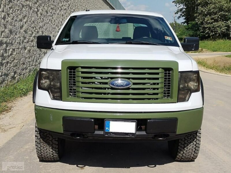 Ford inny