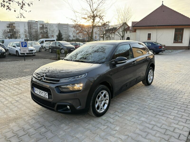 Citroen C4 Cactus Zadbany! Bogata wersja! I (2014-)