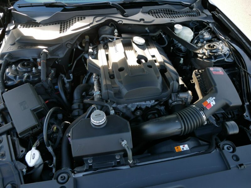 Ford Mustang mk6 2.3 E-Boost 317KM [Eu6] Performance +Opony -VAT 23% Brutto -Zobacz VI (2014-)