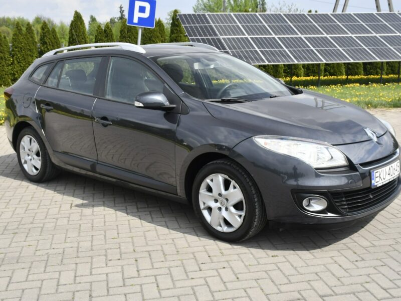 Renault Megane 1.5dci DUDKI11 Navi.Klimatr 2 str.Hak.Parktronic.Tempomat.OKAZJA III (2008-2016)