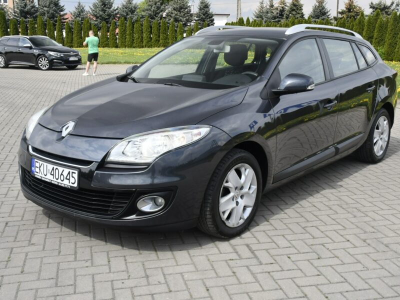 Renault Megane 1.5dci DUDKI11 Navi.Klimatr 2 str.Hak.Parktronic.Tempomat.OKAZJA III (2008-2016)