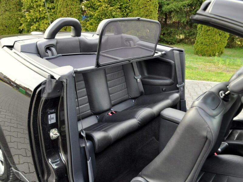 Renault Megane 2.0i(135KM)*Klimatronik*Skóry*Cabrio*I Wł*Grzane Fotele*PDC*Alu17"ASO II (2002-2008)