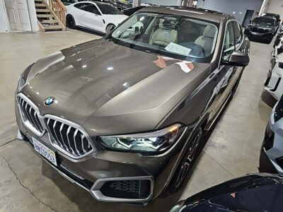 BMW X6 Full Opcja xDrive40i BEZWYPADKOWY G06 (2019-)